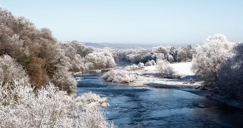 Top 16 festive days out this winter and Christmas in and around the Welsh borders 2022