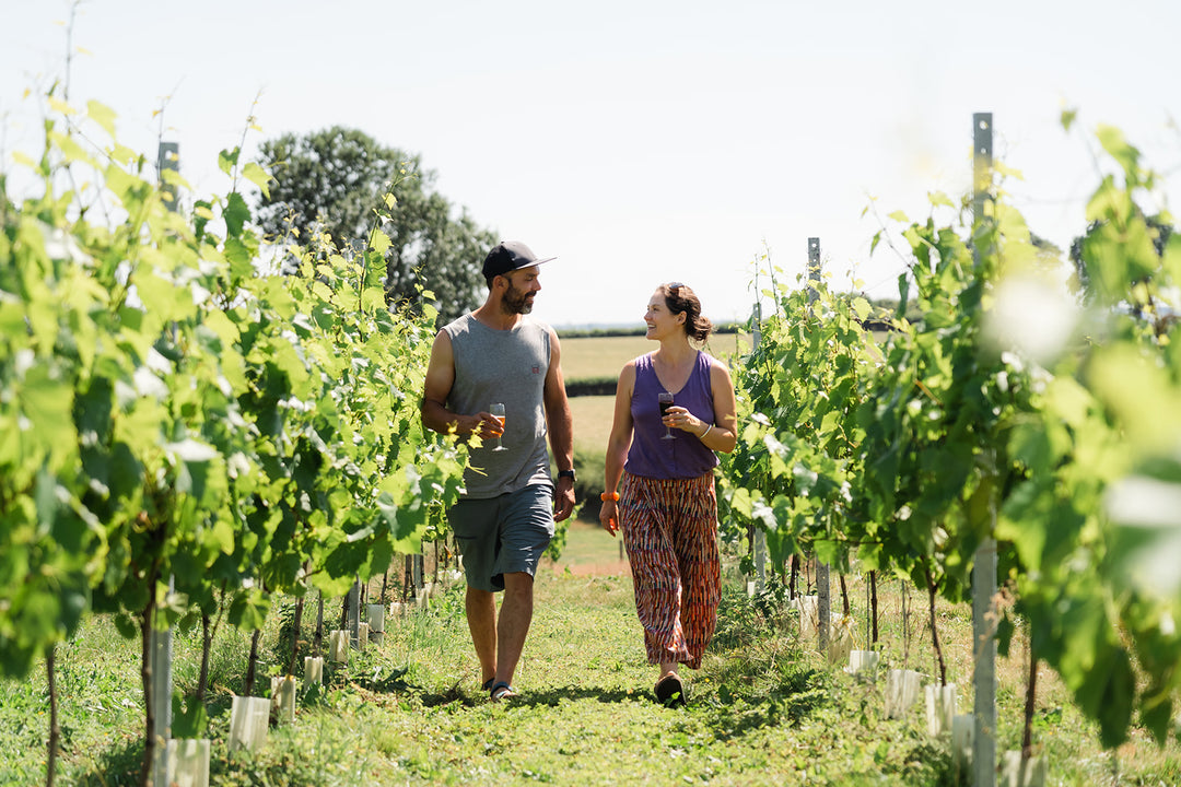 Vineyard Tour & Tasting: Friday 23rd October